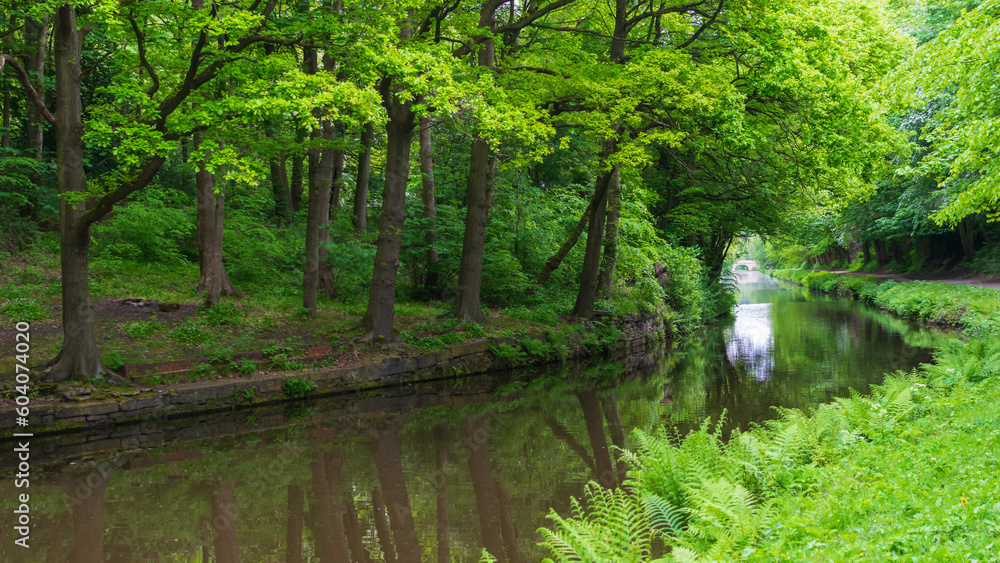 Canal in the forest Canal in the forest