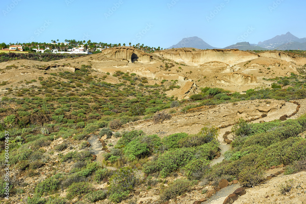 Environmental Reserve San Blas, San Miguel de Abona, Tenerife, Canary Islands, Spain Environmental Reserve San Blas, San Miguel de Abona, Tenerife, Canary Islands, Spain