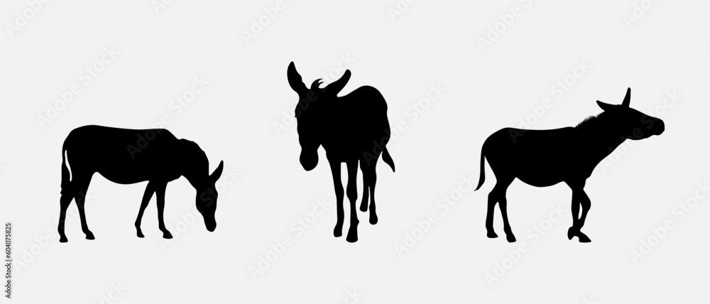 isolated black silhouette of a donkey , vector collection