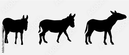 Fotografia isolated black silhouette of a donkey , vector collection