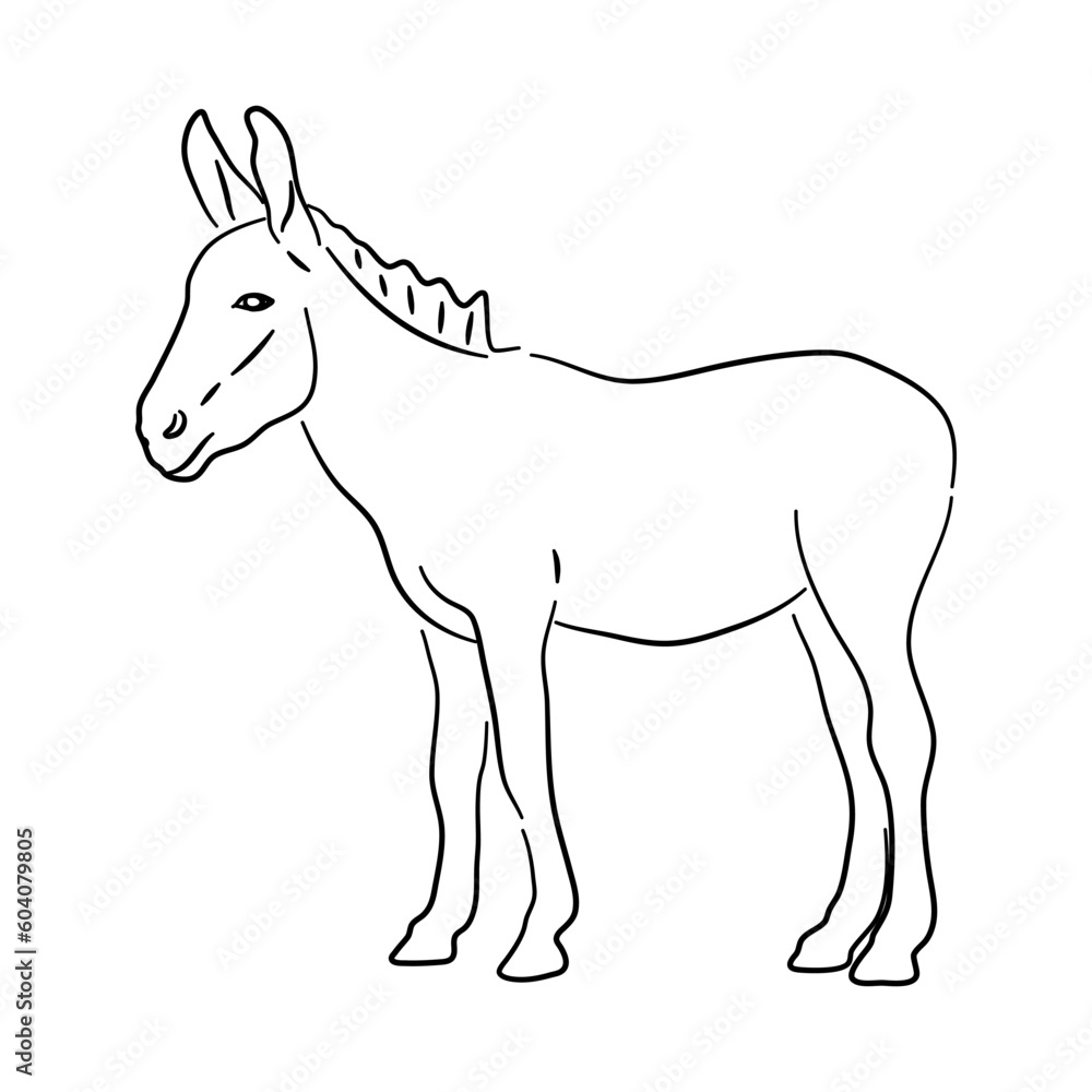Donkey in doodle style. Icons sketch hand made. Vector.