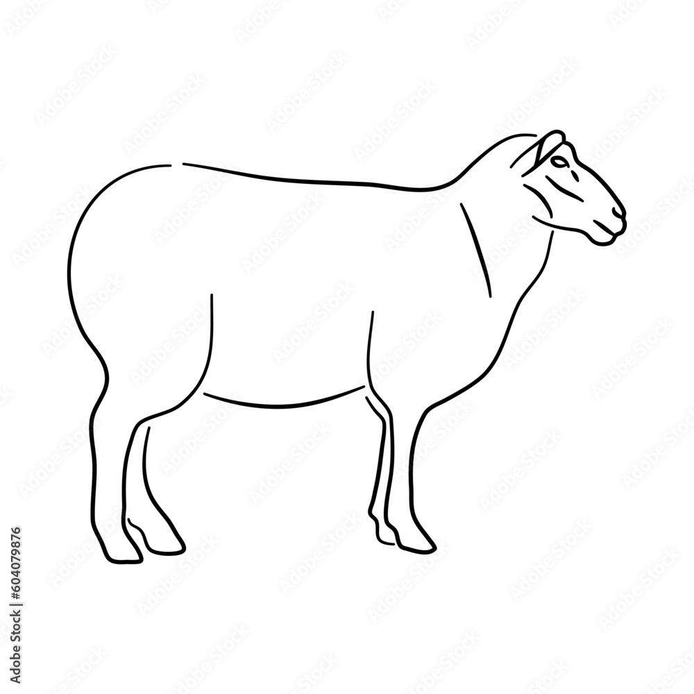 Sketch hand drawn silhouette of a Sheep. Doodle vector isolated on a white background.