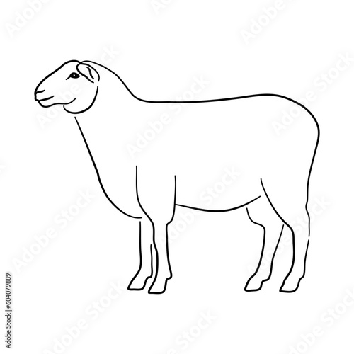 Sheep in doodle style. Icons sketch hand made. Vector.