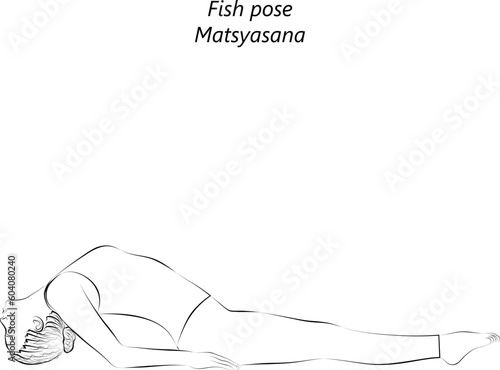 Sketch of young woman practicing yoga, doing Fish pose. Matsyasana. Supine and Backbend. Beginner. Vector illustration isolated on transparent background.