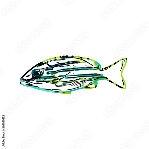 color sketch of colorful fish with transparent background © Fatikh