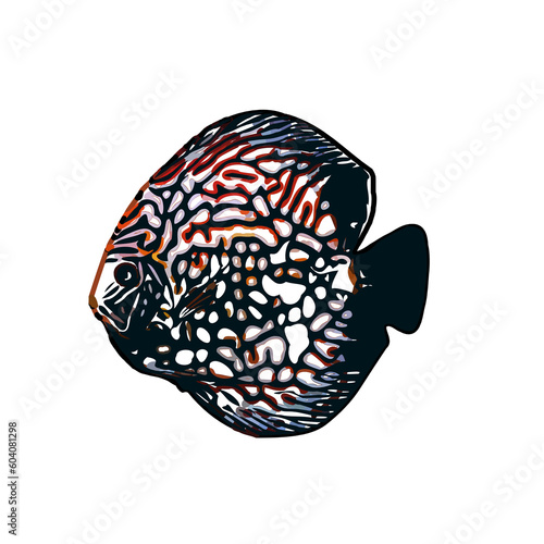 color sketch of colorful fish with transparent background