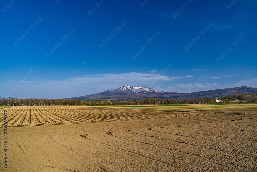 Fototapeta premium 斜里岳４