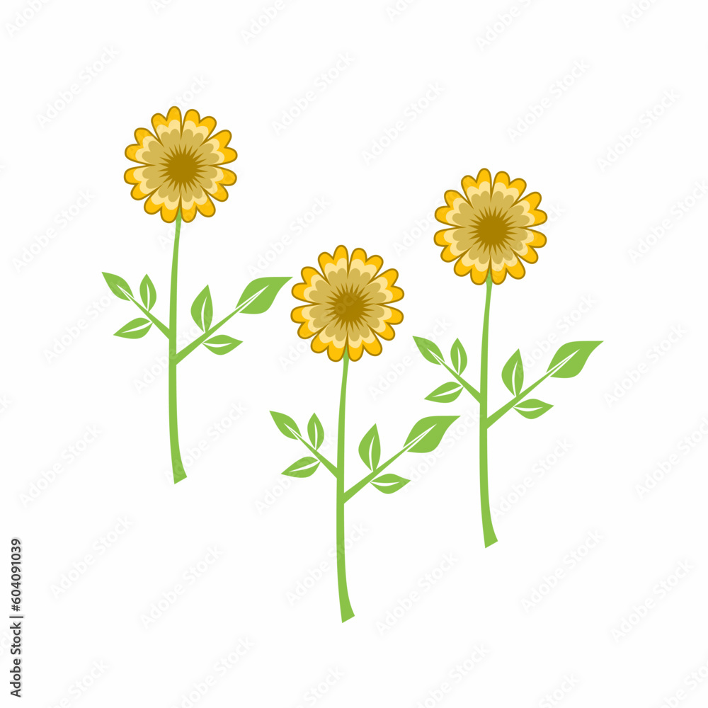 Fototapeta premium Vector graphic illustration of three sunflowers with stems and leaves, isolated on white background. Perfect for use in nature, botany, art and seasonal decoration themes.