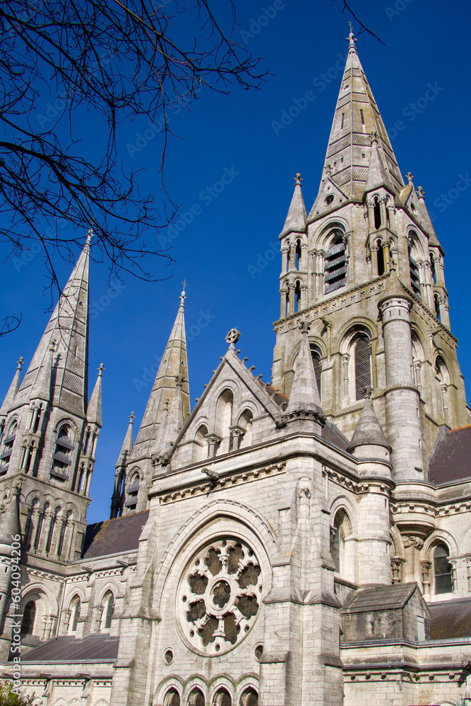The spires of the Anglican Cathedral of St. Fin Barre in the Irish city of Cork. A Christian church in the Neo-Gothic style. Cloudless sky over the church. Christian religious architecture.