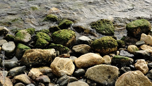 stone shore with moss as background