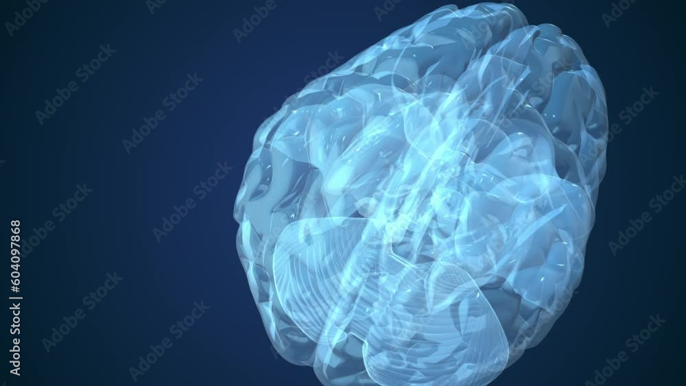 Abstract animation of human brain Abstract animation of human brain