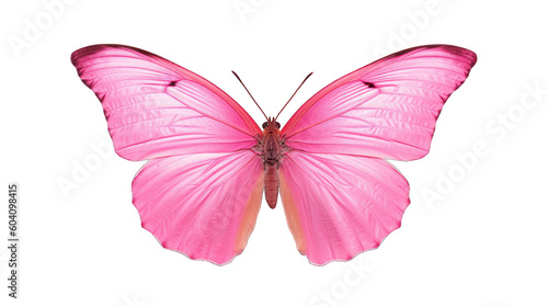 Beautiful pink butterfly isolated on a white background. Generative AI Illustration	