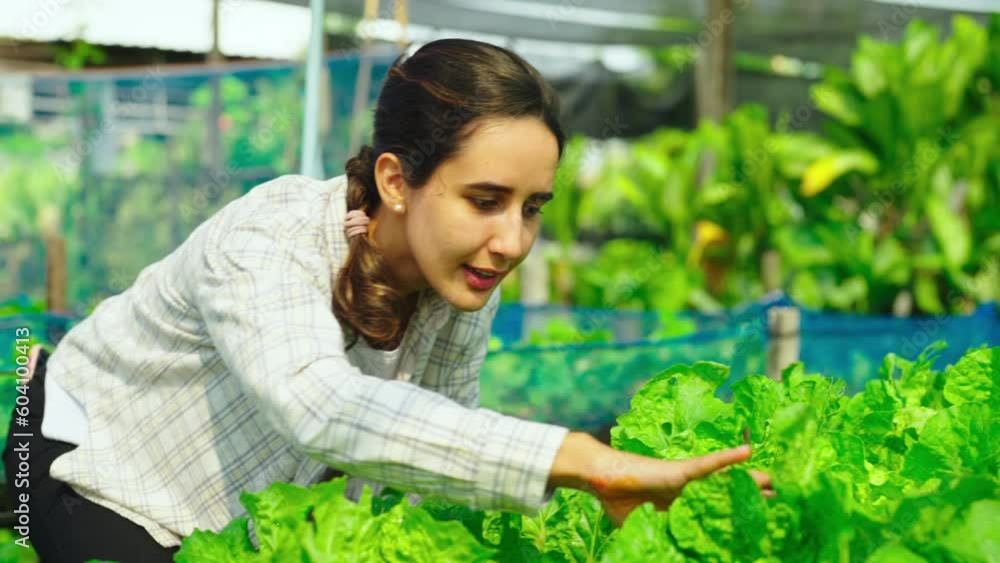 Female gardener looking to camera with smiling. Female farmer working at organic farm. Female gardener looking to camera with smiling. Female farmer working at organic farm.