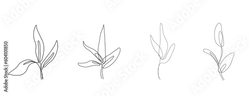 Outline simple aesthetic sketch natural wild plant leaves doodle botanical hand drawn vector gardening one continuous line foliage leaf