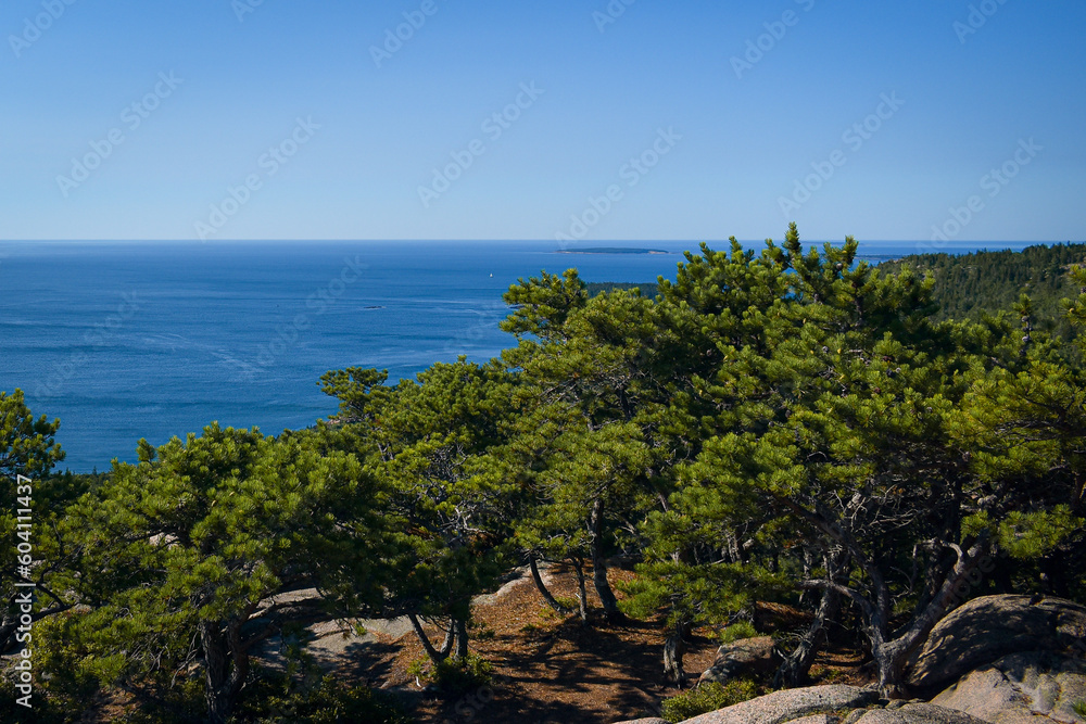 View from the summit of the Beehive trail at Acadia National Park overlooking Frenchman Bay.