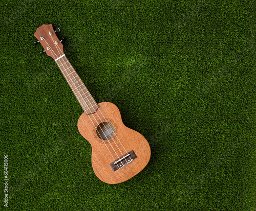 ukulele guitar on green grass. Travel concept photo