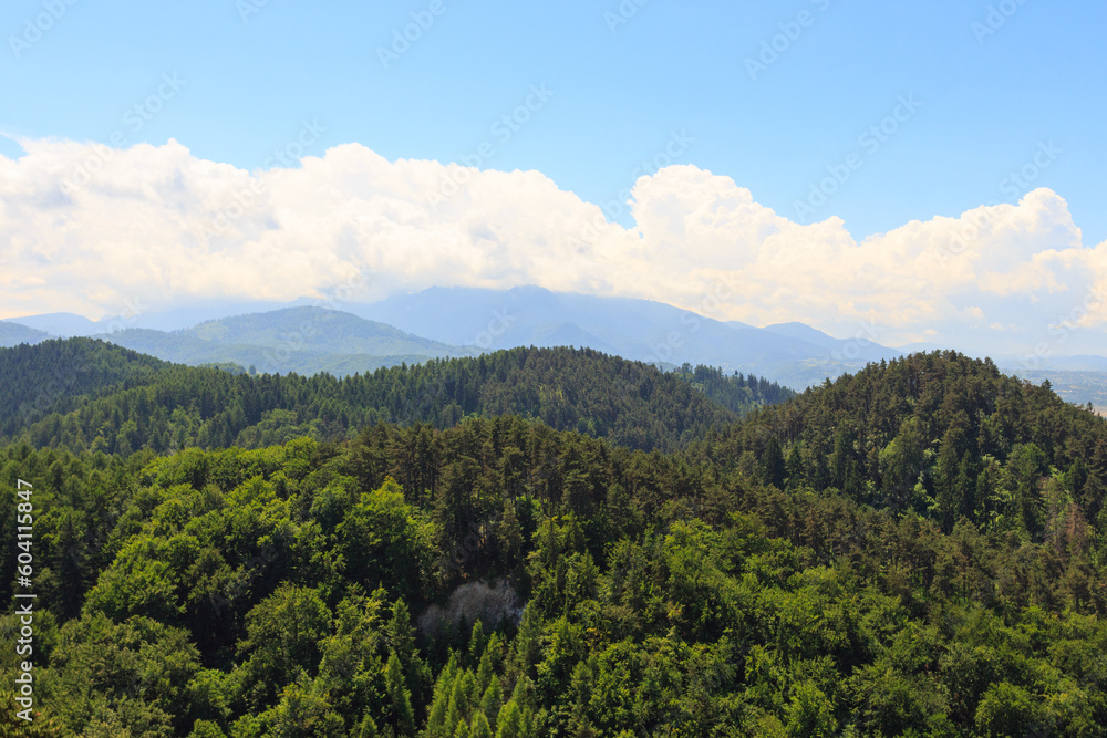 A view of the forest and mountains near the city of Rasnov. Transylvania. Romania