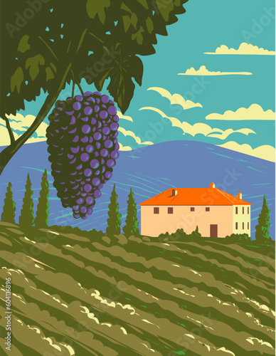WPA poster art of grape vine and vineyard in Tuscany countryside with villa in central Italy done in works project administration or Art Deco style.
