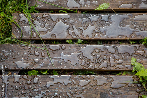 Water drops on oiled wooden flooring after rain