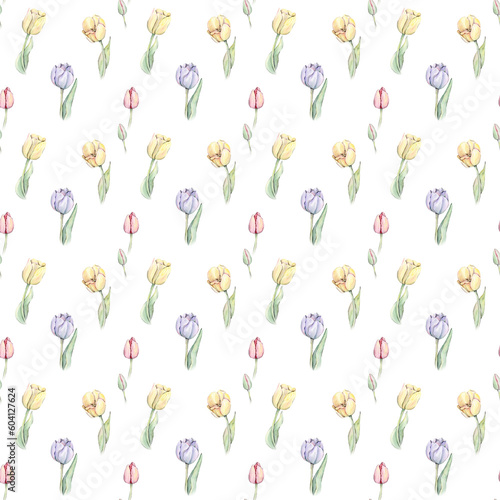 Watercolor pattern with tulips
