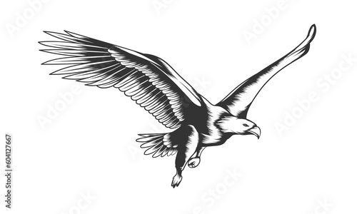 eagle in flight detailed