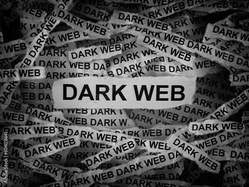 Strips of newspaper with the words Dark Web typed on them. Black and white.