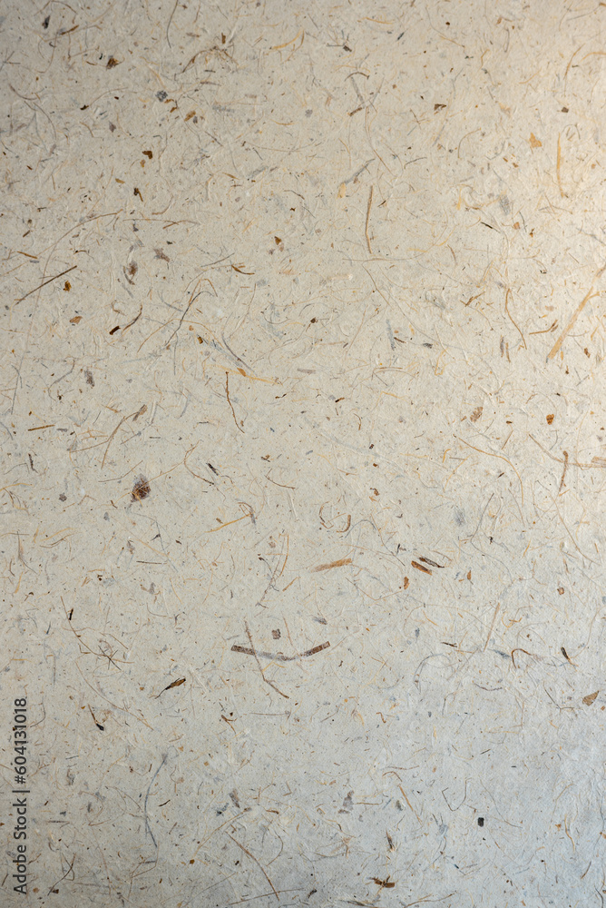 White mulberry paper texture use dry flower and leaf fiber mix for abstract texture background. Mulberry paper with texture background white tone. White mulberry paper texture use dry flower and leaf fiber mix for abstract texture background. Mulberry paper with texture background white tone.