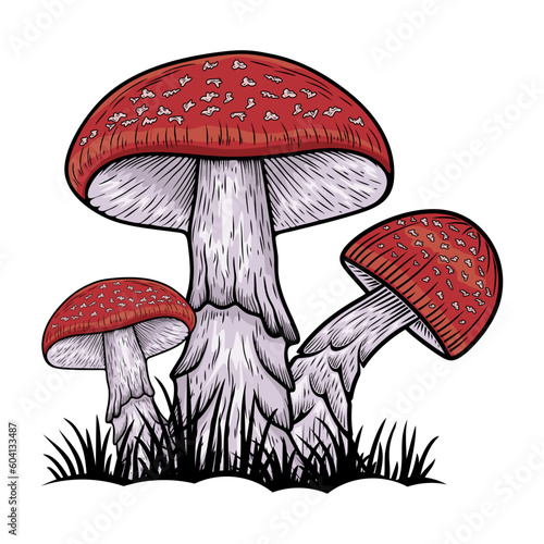 mushroom vector logo. Shiitake mushroom plant. for mushroom shop, mushroom cultivation