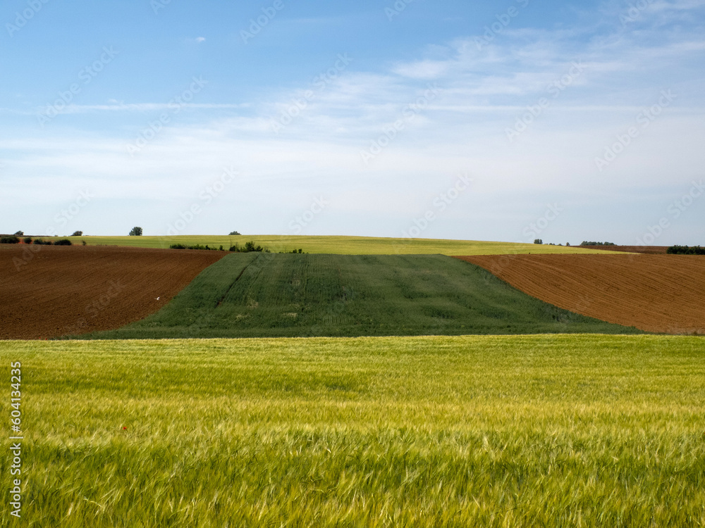 Paisaje con campos de cultivo de diferentes colores y un cielo azul. Castilla y León, España.