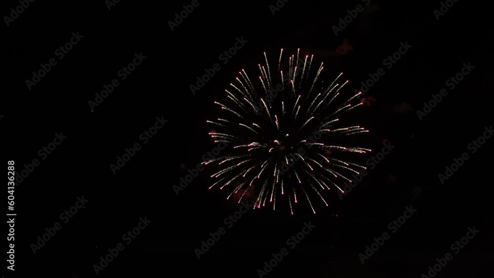 Lilac and pink sparks firework flowers sparkling against the black night sky. Lilac and pink sparks firework flowers sparkling against the black night sky.