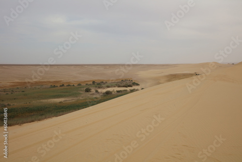 The Valley with plants and desert