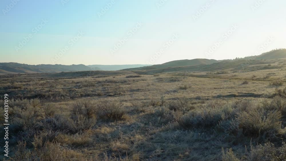 Gimbal dolly rise frosty grass and sage in morning light Gimbal dolly rise frosty grass and sage in morning light