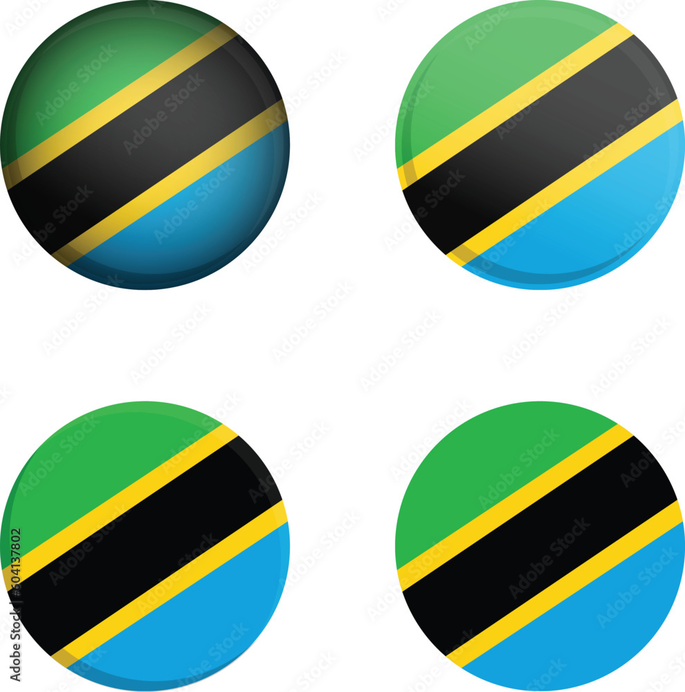Round Country Flag in different styles disc badge vector illustration tanzania