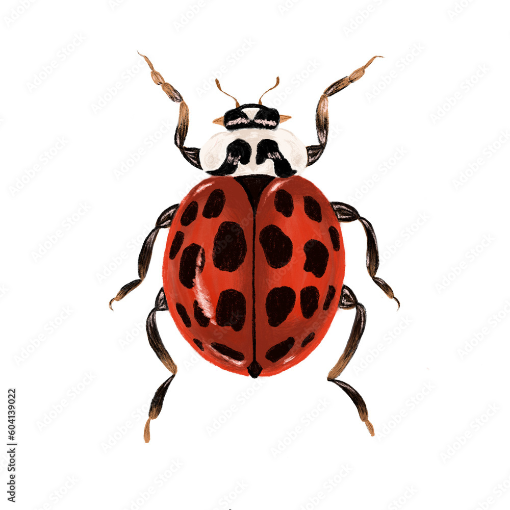Ladybug hand painting Ladybug hand painting