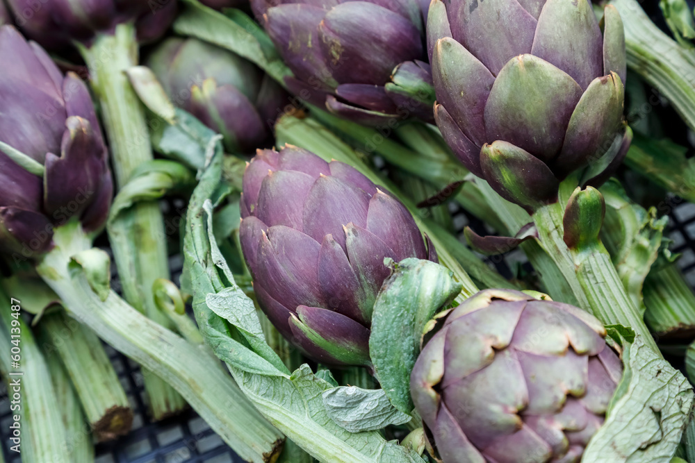 Fototapeta premium Fresh and ripe artichokes for sale