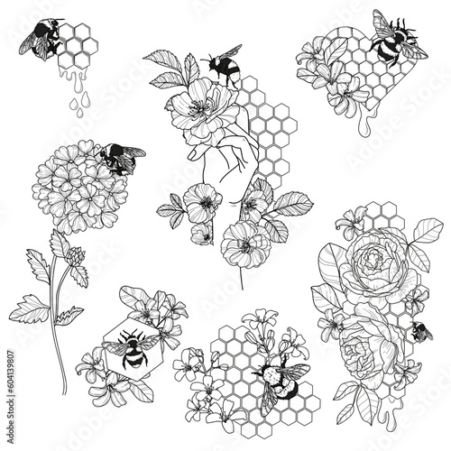 Bee Honey Flower Black and White Illustration Set