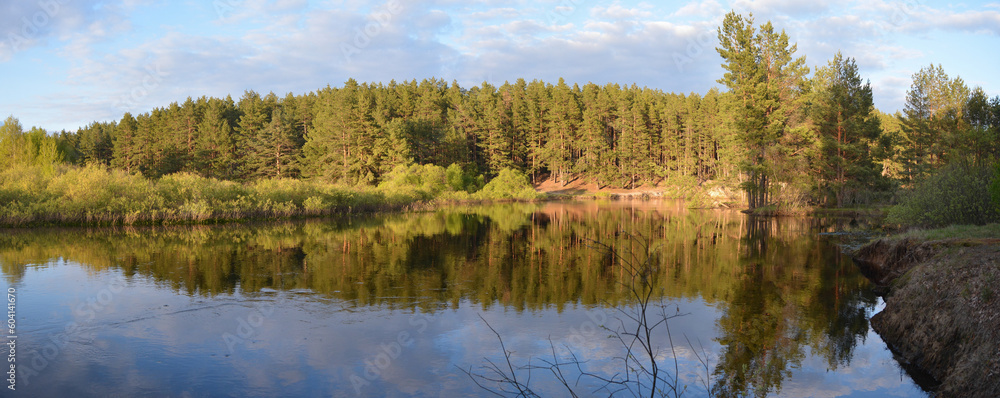 Panorama of the forest river in spring. Panorama of the forest river in spring.
