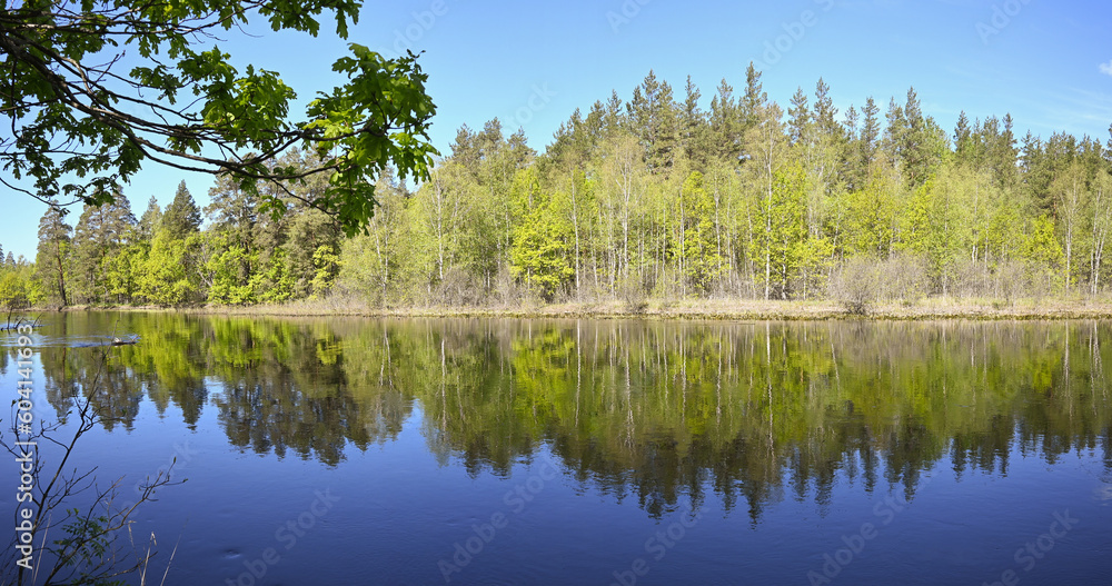Panorama of the forest river in spring. Panorama of the forest river in spring.