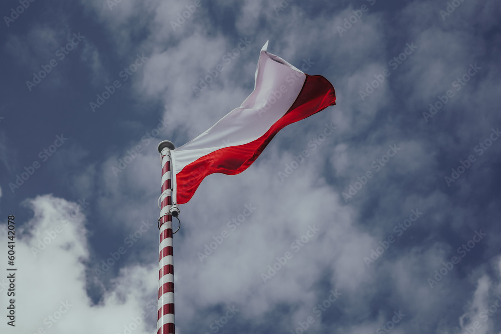 Flaga Polski - obrazy, fototapety, plakaty 