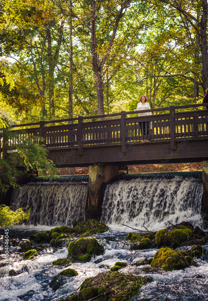 View of wooden bridge with mature woman standing on it and waterfall running underneath in Midwestern park in autumn; trees with fall leaves in background; rocks in foreground