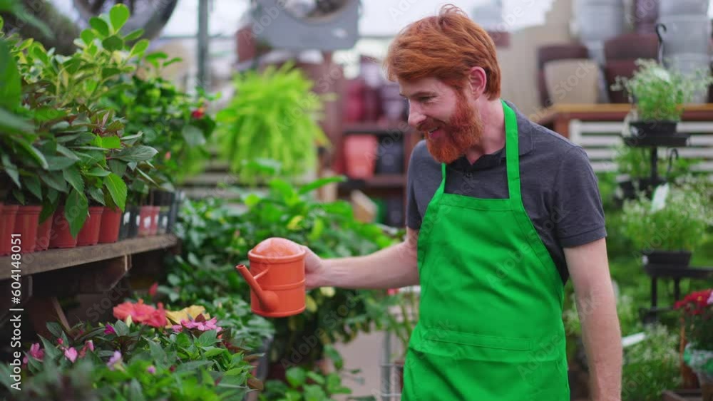 One young employee of Flower Shop watering plants on shelf aisle. A male redhead staff wearing green apron using water can working at local business store One young employee of Flower Shop watering plants on shelf aisle. A male redhead staff wearing green apron using water can working at local business store