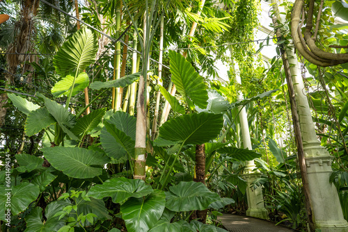 Photography Kopenhagen Botanischer Garten 2022