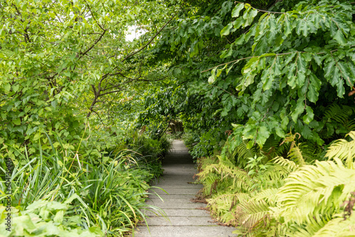 Kopenhagen Botanischer Garten 2022