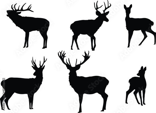 Set of Deer Silhouettes. Vector