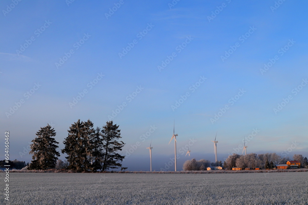 Fototapeta premium Hoarfrost or rime frost in nature. Wind turbine mills at a distance away. One December day. Blue sky. Skara, Sweden, Scandinavia, Europe.