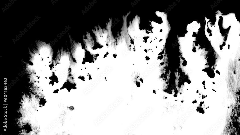 Black ink artistic flow splatter spots spills white paper beautiful reveal dripping streaks spread fluid ink alpha matte isolated watercolor ink drops transition
Black ink artistic flow splatter spots spills white paper beautiful reveal dripping streaks spread fluid ink alpha matte isolated watercolor ink drops transition