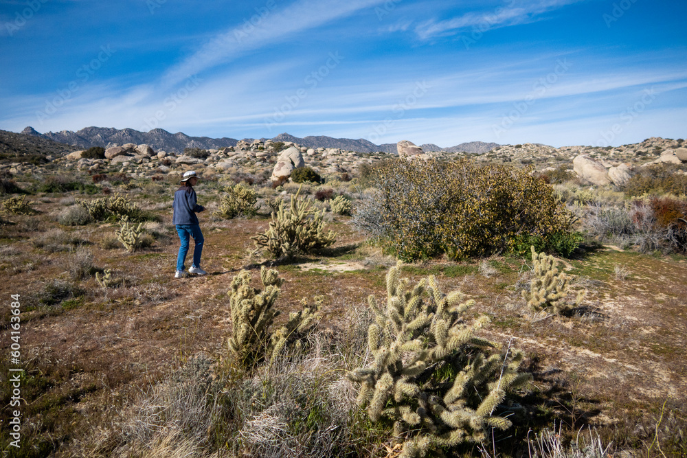 A Desert Scene on a Wilderness Trail with a mature woman hiker enjoying the Hike