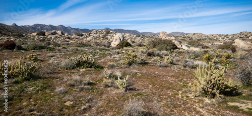 A Desert Scene on a Wilderness Trail in California
