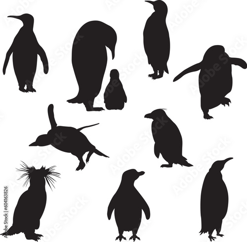 Set of the Penguins Silhouettes. Vector Image