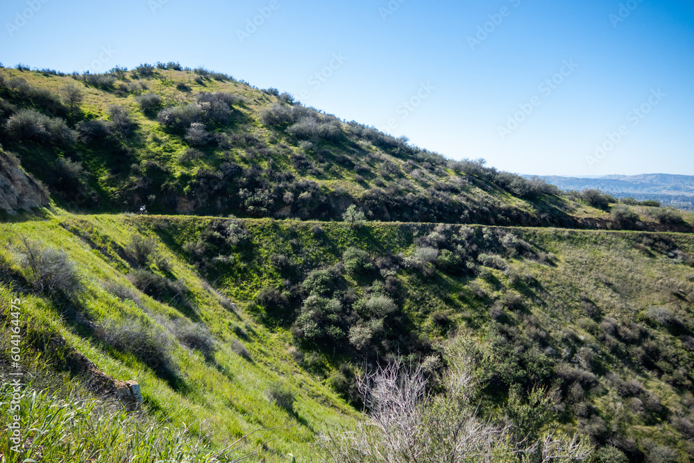 Spring in Yucaipa, California, after a wet winter with the green Crafton Hills looking at the Beautiful Grass and Flowers
